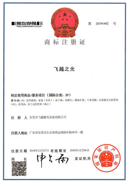 飞越之光商标注册证书（五）