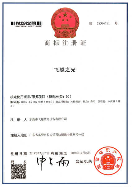 飞越之光商标注册证书（七）