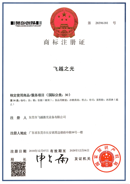 飞越之光商标注册证书（七）