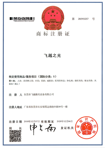 飞越之光商标注册证书（六）
